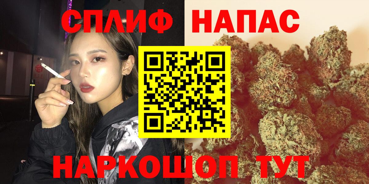 Бошки Шишки SATIVA & INDICA  Вход с VPN  Канабис Ganja  Тара  Конопля AK-47  МАРИХУАНА семена 
